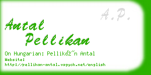 antal pellikan business card